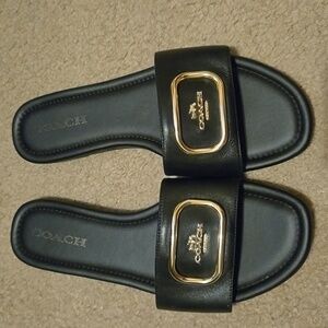 Coach Slides